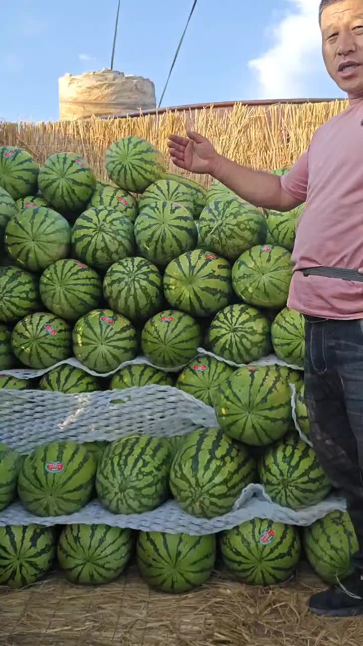 麒麟瓜种植时间和方法(麒麟瓜种植时间和方法图片)