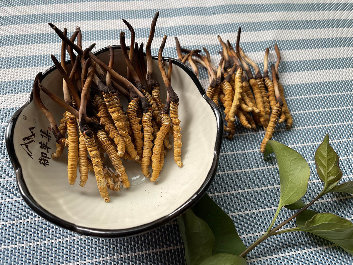 冬虫夏草草的草(冬虫夏草夏草的作用)