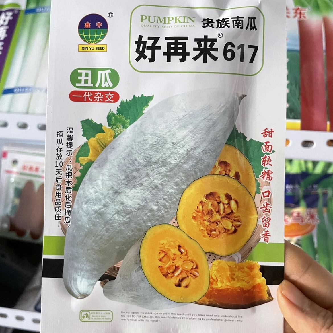 贵族南瓜种子能种吗(贵族南瓜适合南方种植吗)