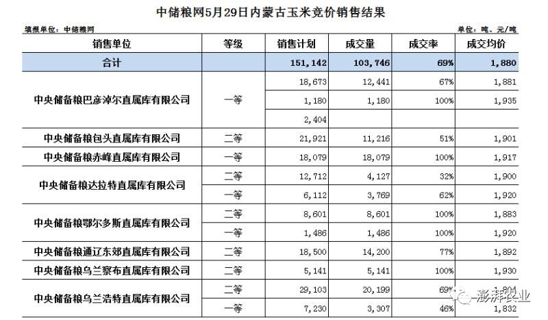 河北玉米今天的价格(今天玉米价格河北玉米价格)
