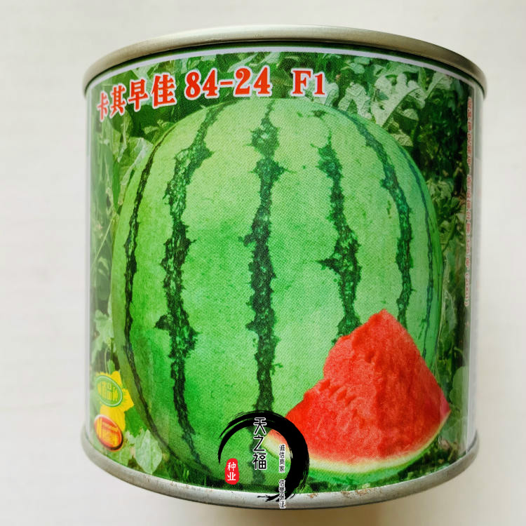 种子品种(水稻种子品种)