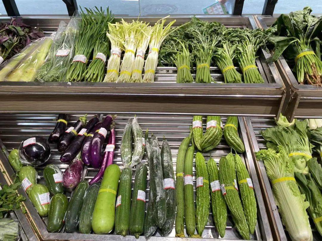 深圳卖蔬菜(深圳卖菜去哪里进货)