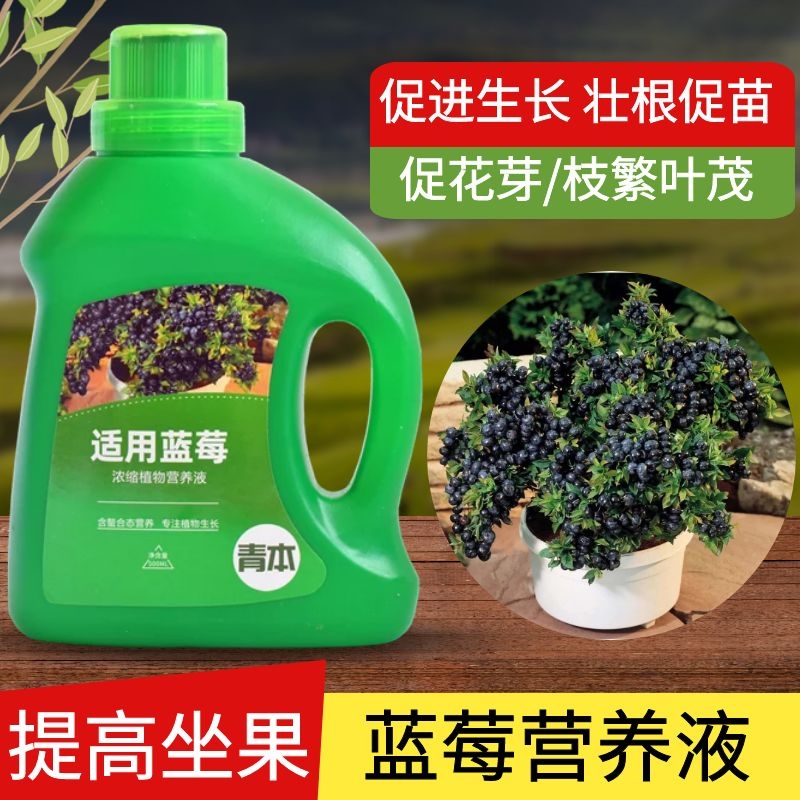 蓝莓树施肥(蓝莓树施肥时间和方法)