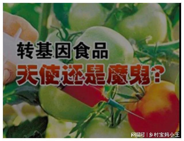 美国人吃转基因食品吗(美国人也吃转基因大豆吗)
