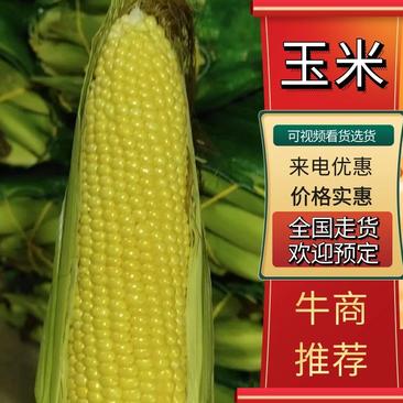 花玉米口感(花玉米好吃吗)