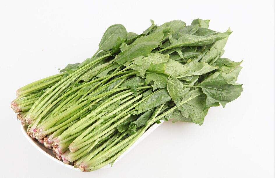 佛山专业蔬菜(佛山蔬菜种植基地)