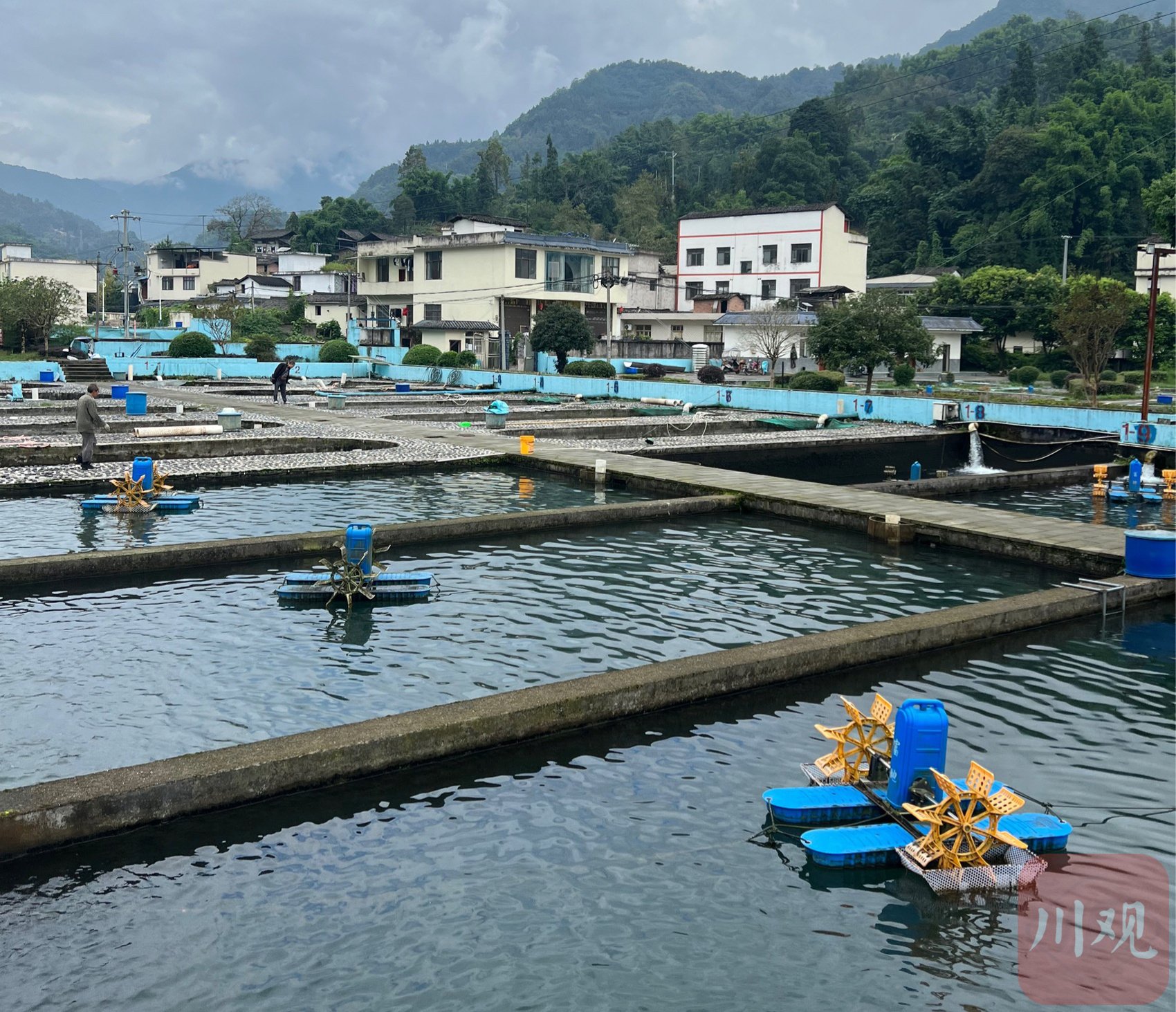 洛阳水产养殖(洛阳养殖鱼联系方式)