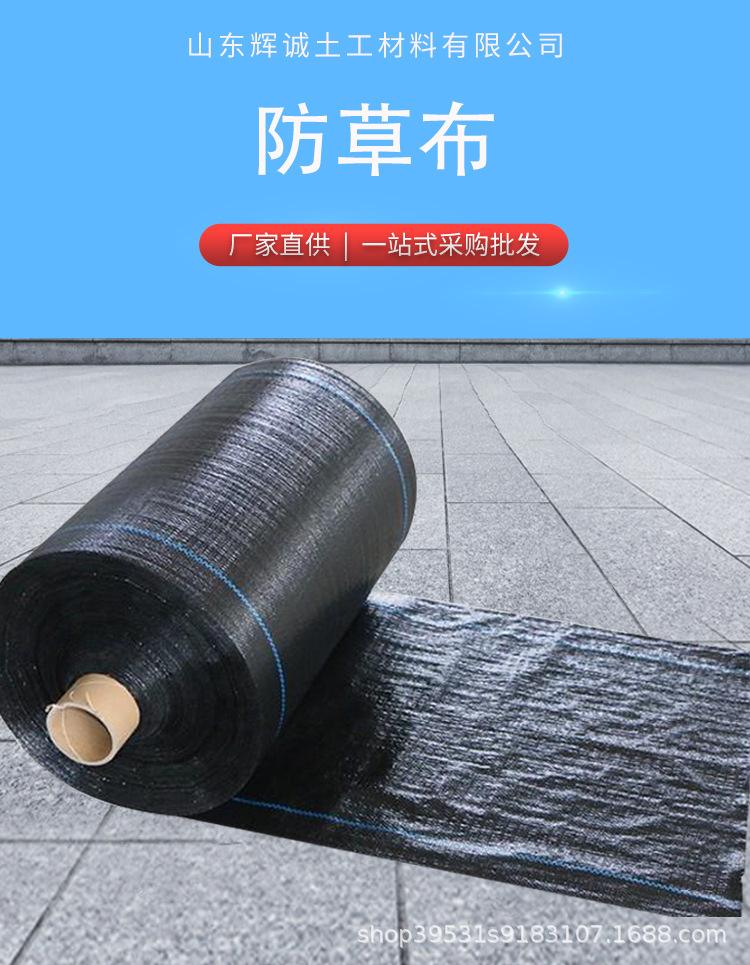 pp除草布(除草布有毒吗)