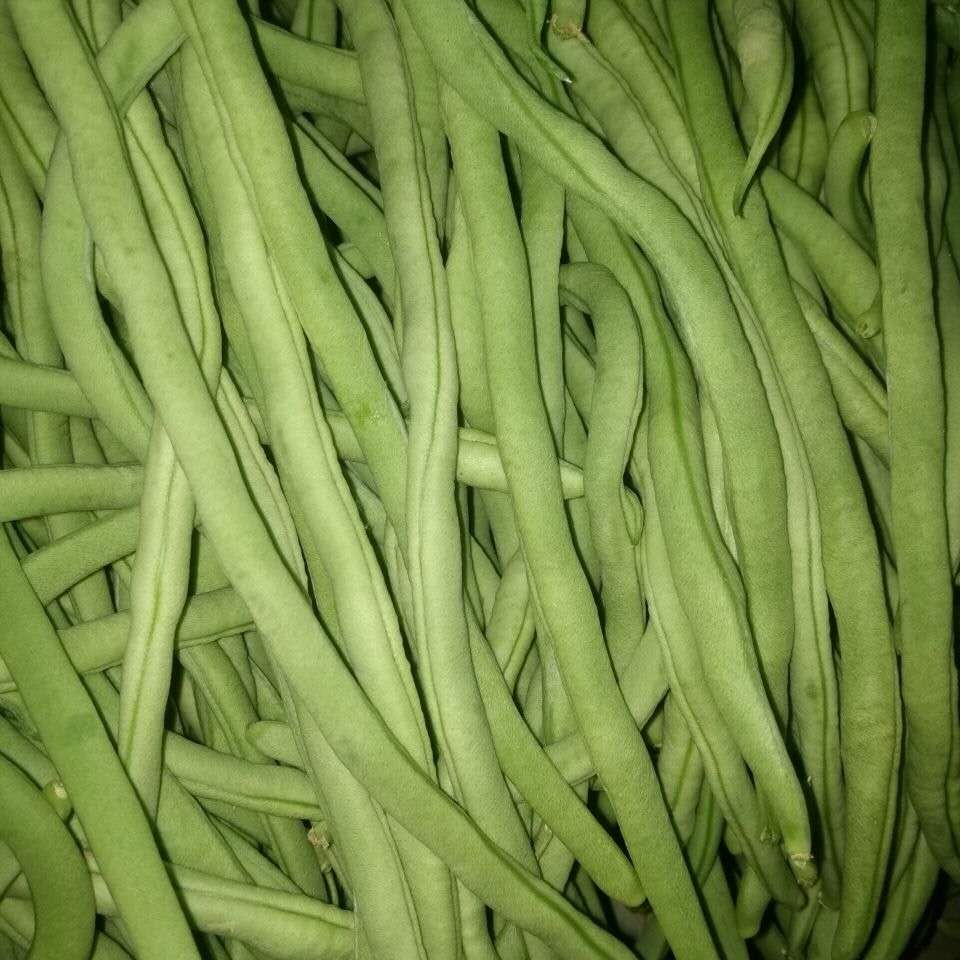 刀豆芸豆(刀豆芸豆哪个贵)