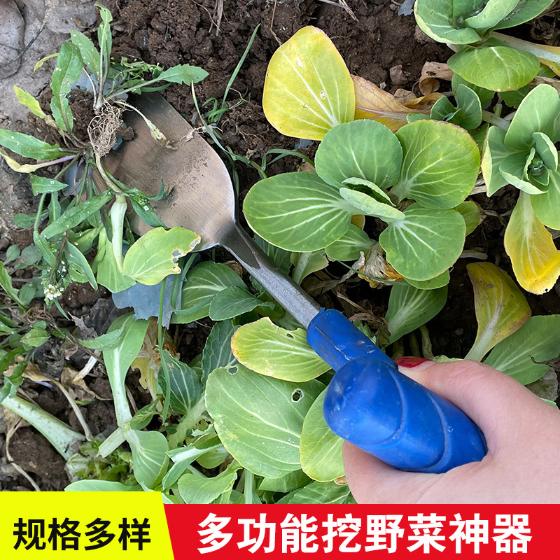 种菜除草(种菜除草剂)