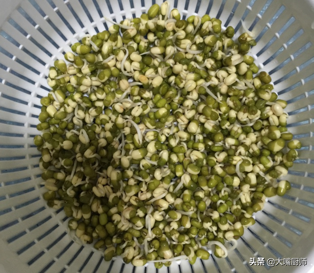 培植黄豆芽的方法(培植黄豆芽的方法和过程)