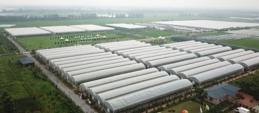 江苏方能水产养殖有限公司(江苏方能水产养殖有限公司怎么样)