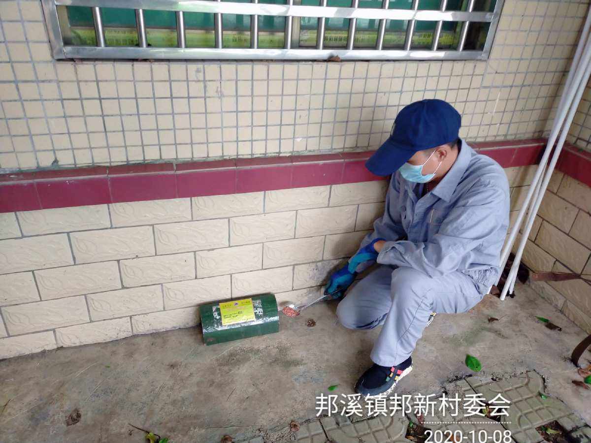 广州灭虫服务(灭虫服务的保险怎么办理)