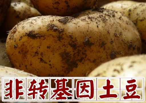 什么叫做转基因?(什么叫做转基因农作物)