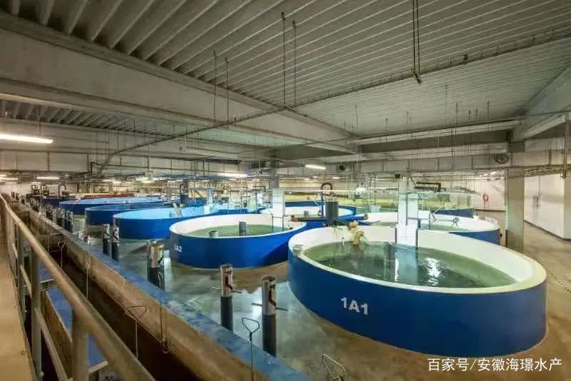 水产养殖企业有哪些(水产养殖企业有哪些违法犯罪情况)