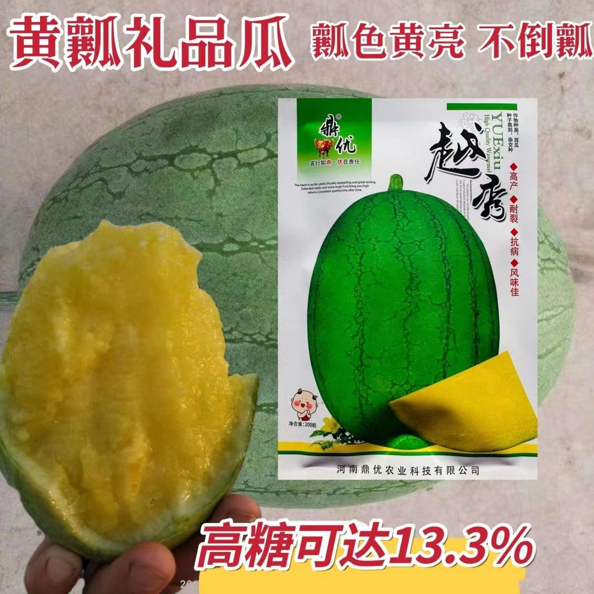 西瓜种子可以种吗(西瓜种子能不能直接种地里)
