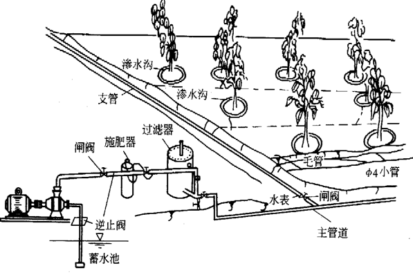 水利滴灌工程(滴灌工程属于什么工程)
