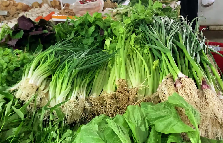 蔬菜多少种(中国蔬菜有多少种)