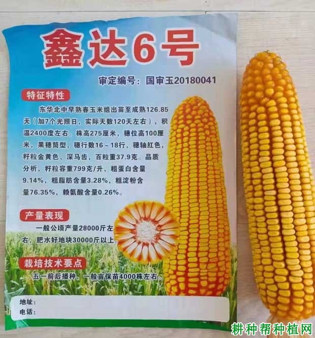 强育192玉米品种简介(强育h1992玉米品种审定公告)