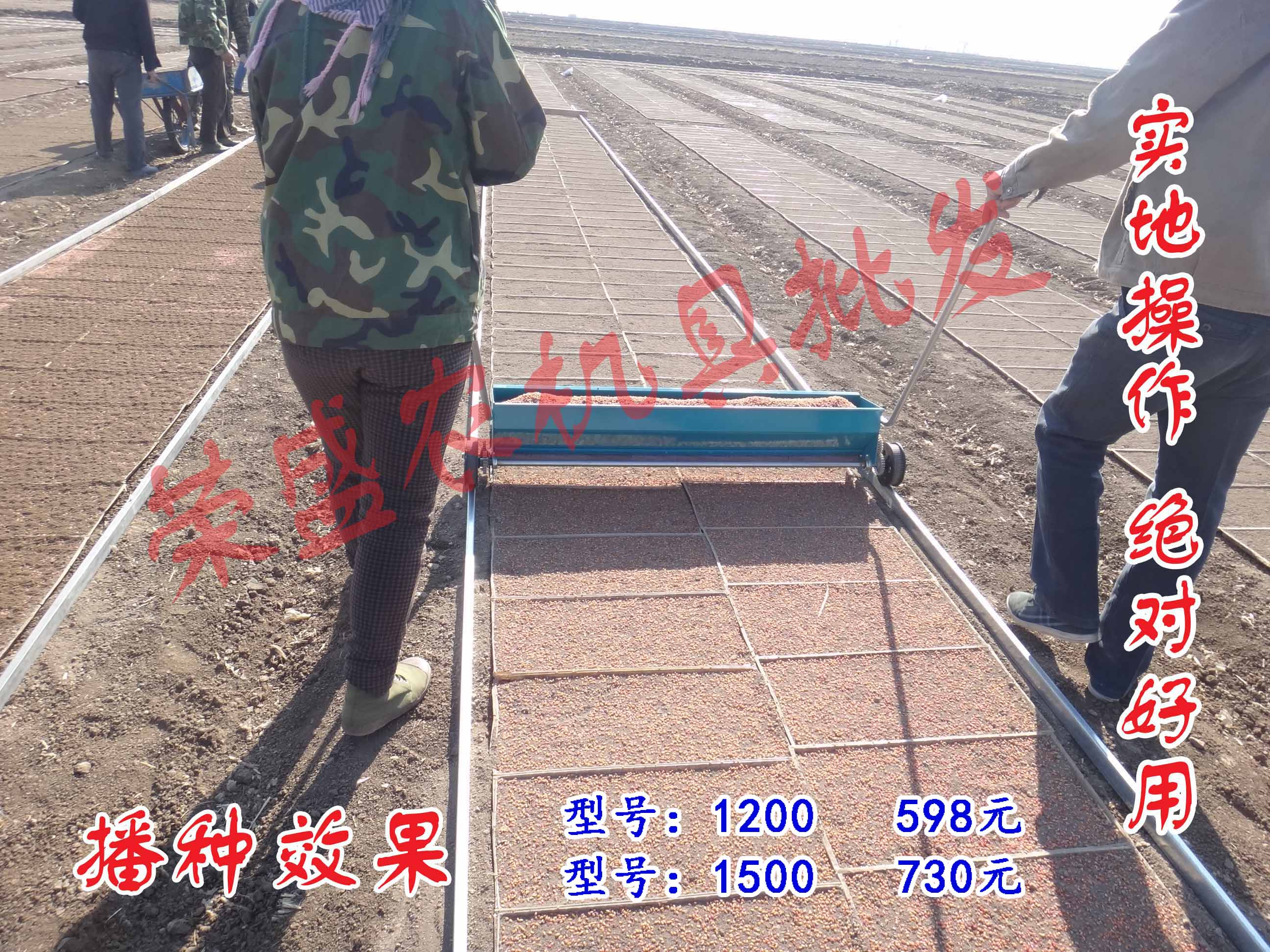 撒播水稻一亩用种量(水稻调播一亩放多少种)
