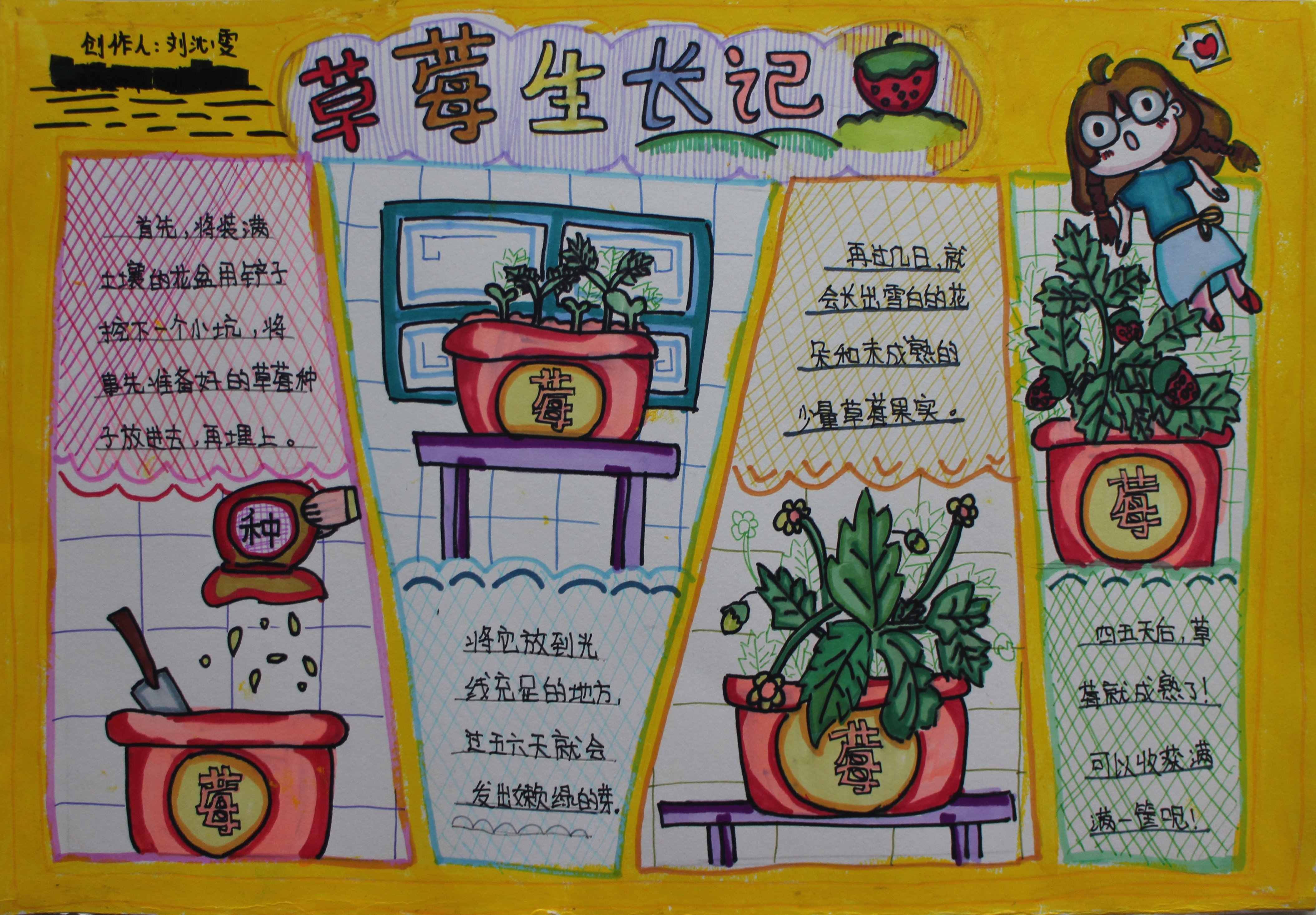 草莓是几月种的(草莓是几月份开始种的)