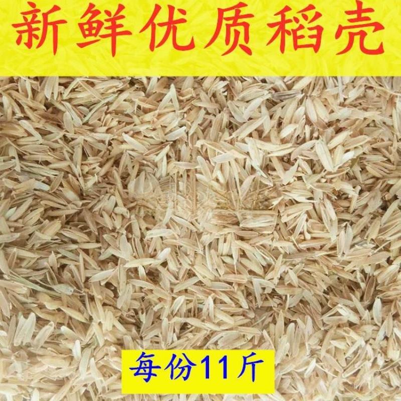 稻谷用什么肥料最好在田里施肥(稻谷用什么肥料最好在田里施肥呢视频)