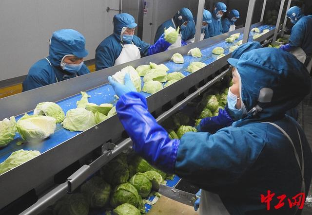 加工小食品(加工小食品机器)