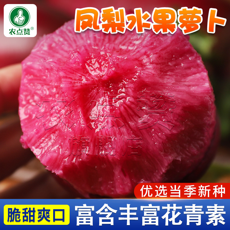 水果萝卜种植温度(水果罗卜种植多少天才有收获)