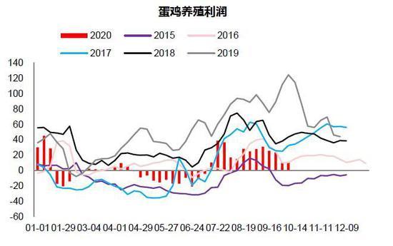 未来养鸡行情(今年养鸡行情怎么样)