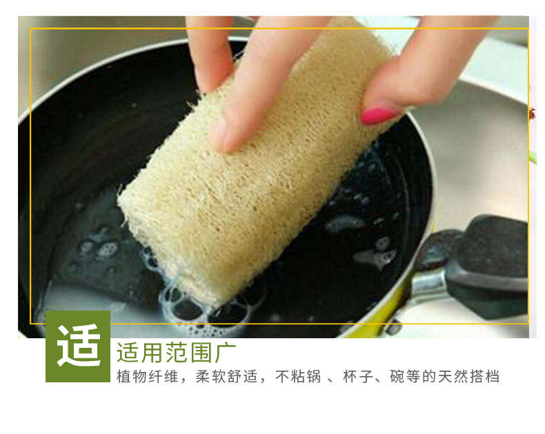 丝瓜可以洗碗(丝瓜可以洗碗的原理)