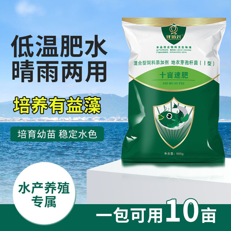 水产养殖硅藻膏(水产专用硅藻种原料)