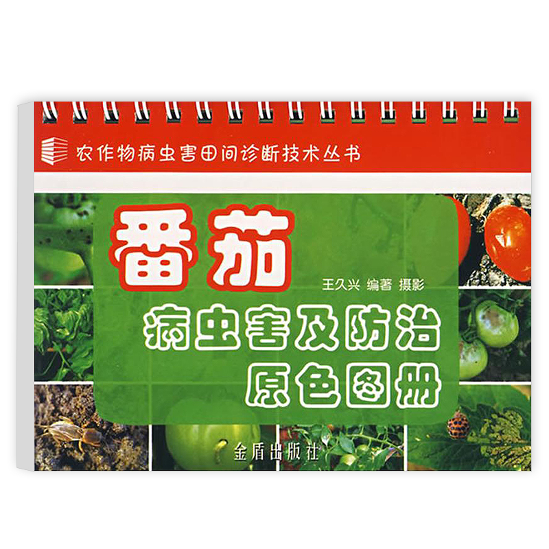 番茄种植距离(番茄种植距离的)