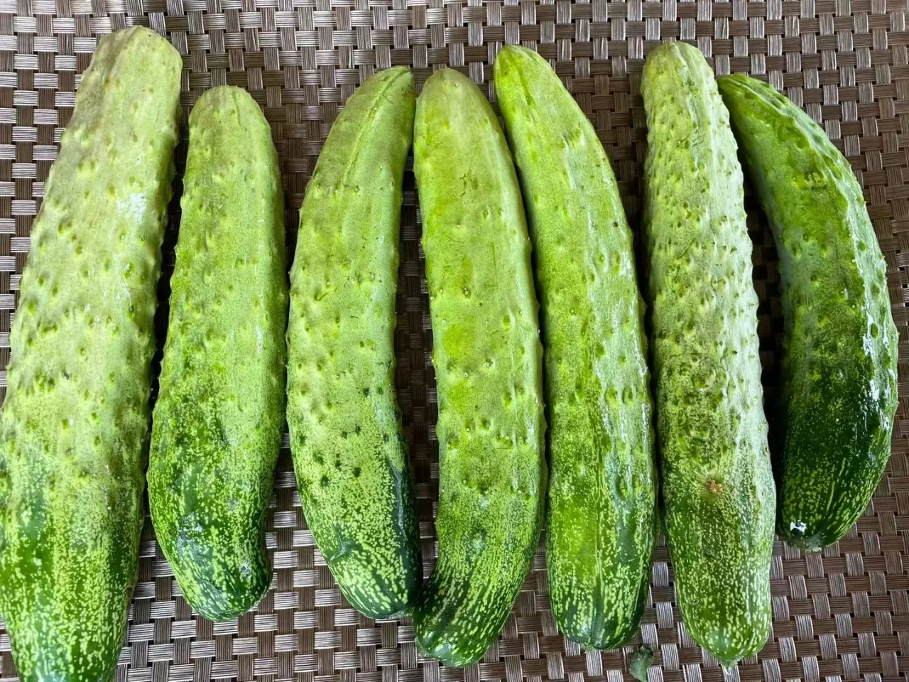怎么种蔬菜(怎么种蔬菜种子容易发芽)