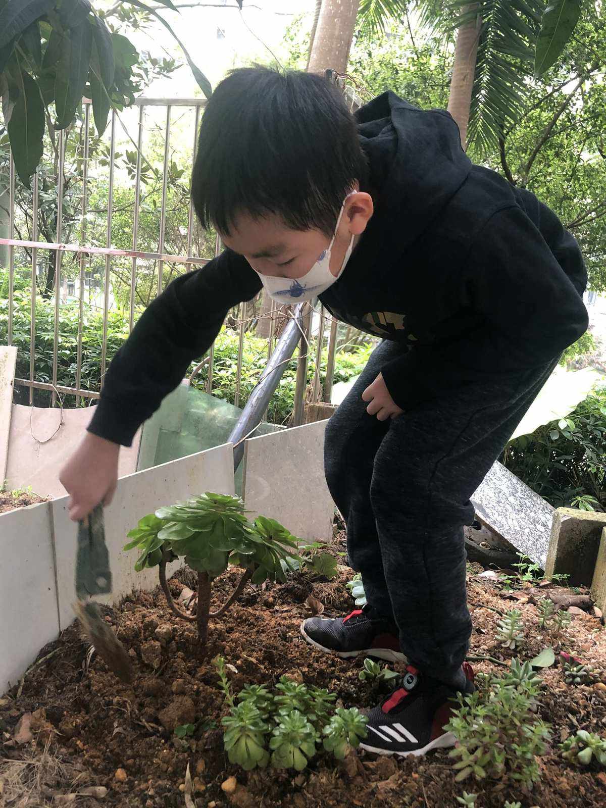 施肥顺序(施肥的一般规律)