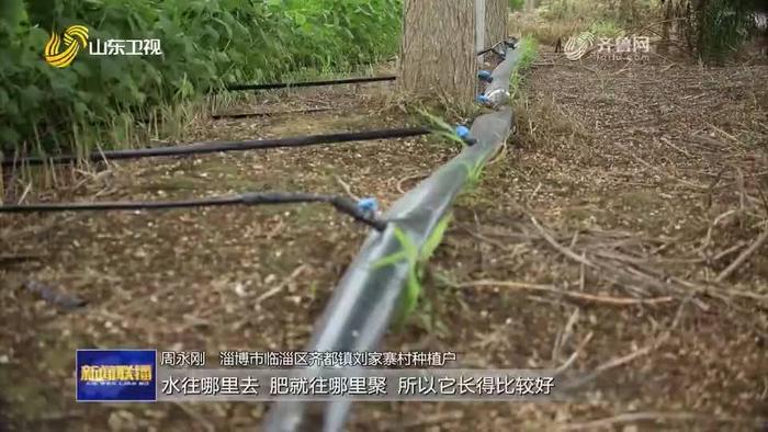 《山东省主要农作物灌溉定额》(山东省占用农业灌溉水源灌排工程设施补偿实施细则)