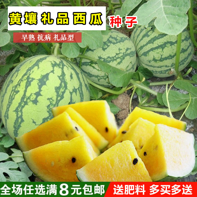 西瓜种子像什么(西瓜的籽像什么比喻句)