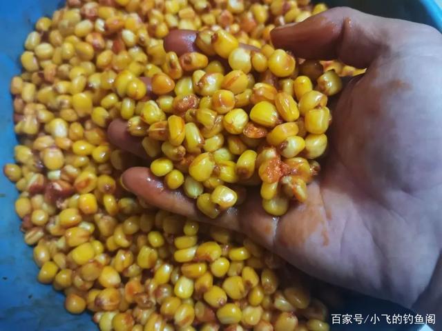 玉米窝料(玉米窝料制作方法配方野钓)