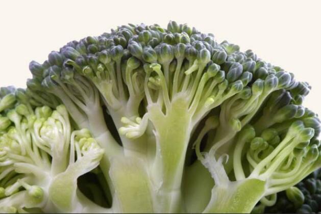 不产气的蔬菜有哪些(不产气的蔬菜有哪些图片)