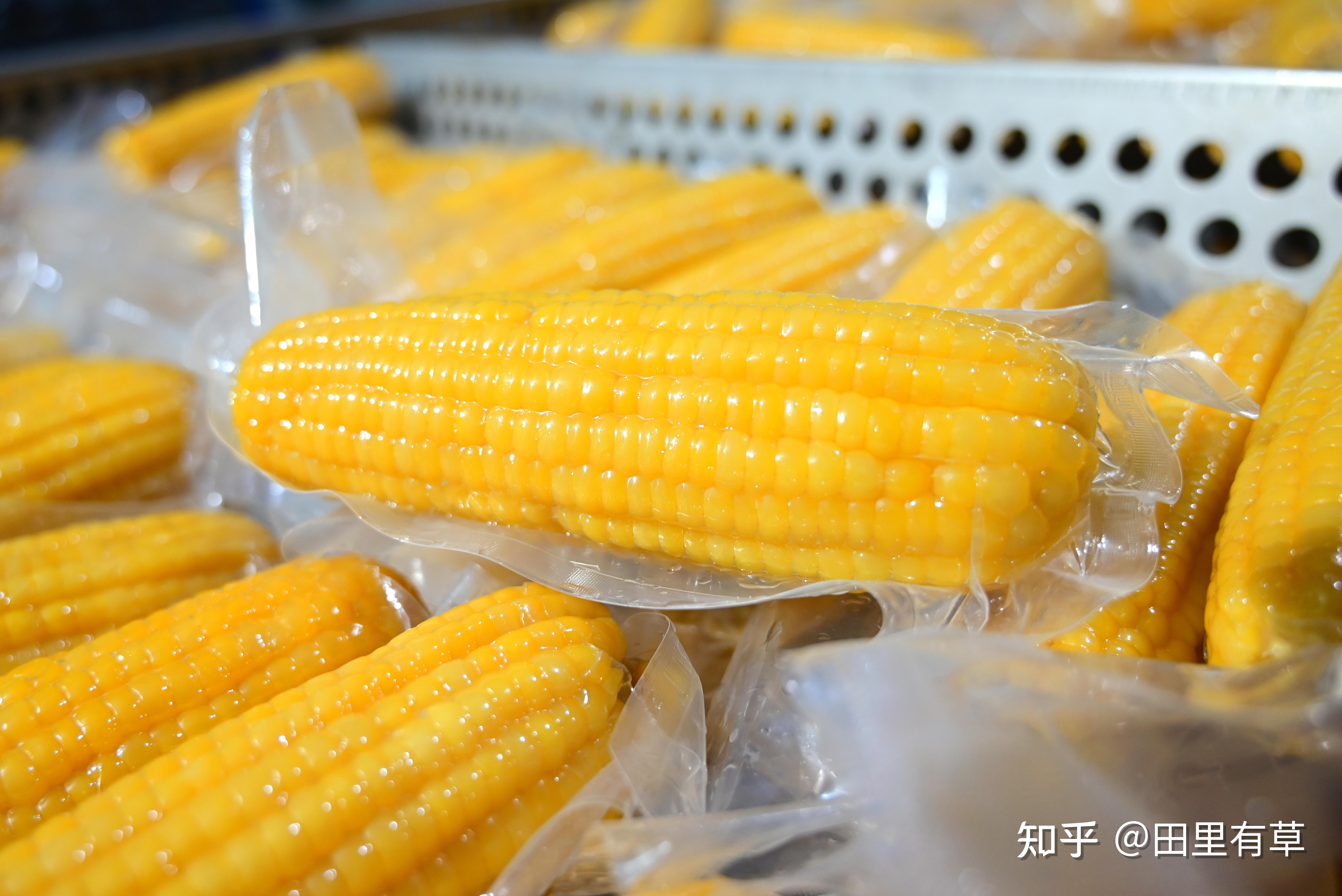 市面上哪些是转基因玉米(市面上哪些是转基因玉米的)