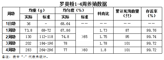 鸡饲养报告(鸡场养殖实践报告)