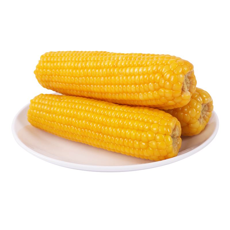 一根糯玉米可食部分大概多少克(一根糯玉米可食用部分大概多少克)