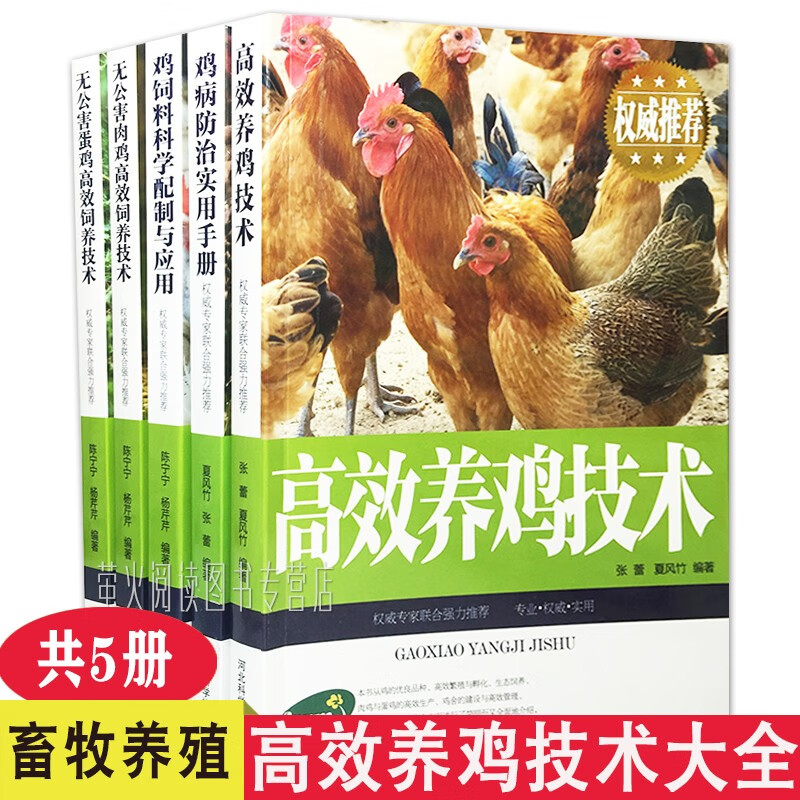 高效养鸡技术(高效养鸡技术视频教程)