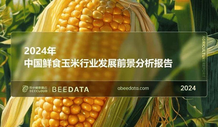 关于中农甜488玉米种植时间的信息