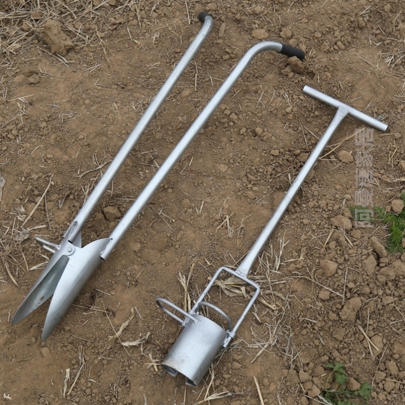 玉米栽苗器(玉米育苗栽培)