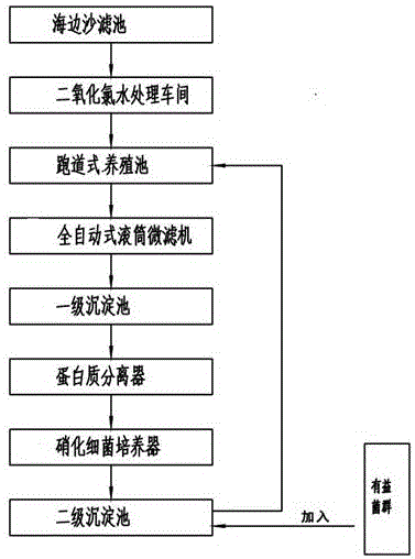 对虾工厂化养殖的技术(对虾工厂化养殖的技术要点)