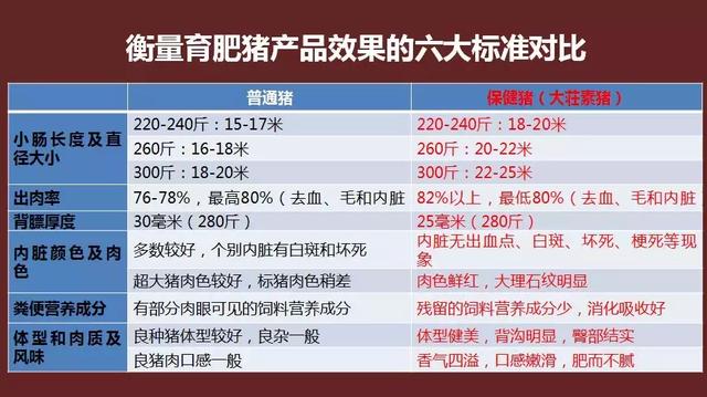 生猪养殖知识(生猪养殖技术指导)