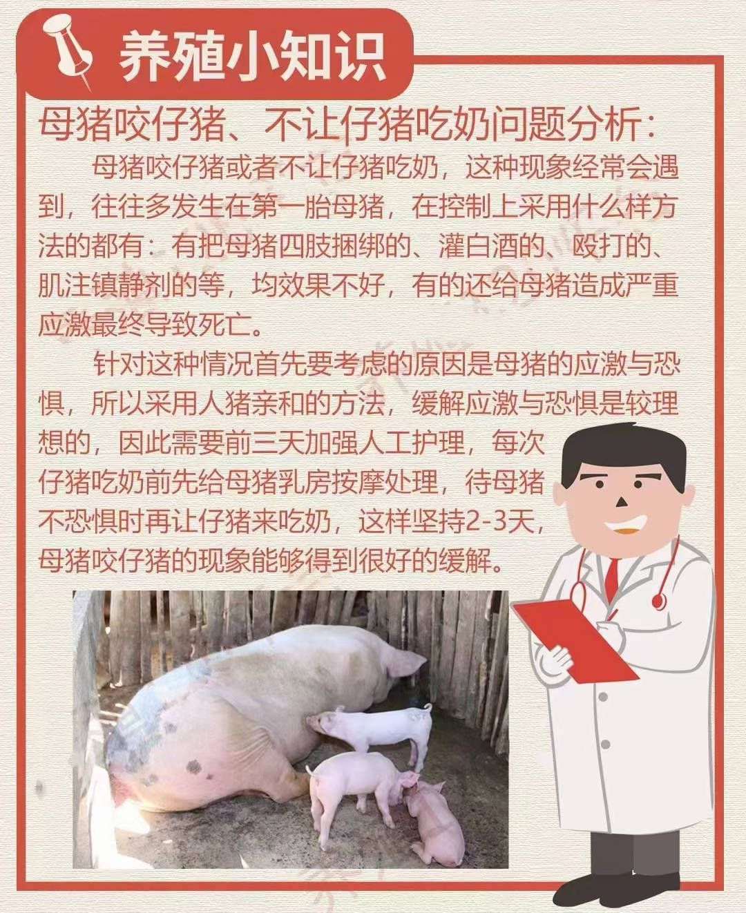 生猪养殖知识(生猪养殖技术指导)