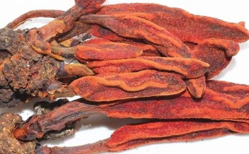 回春草怎么用(回春草怎么用最好)