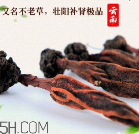 回春草怎么用(回春草怎么用最好)