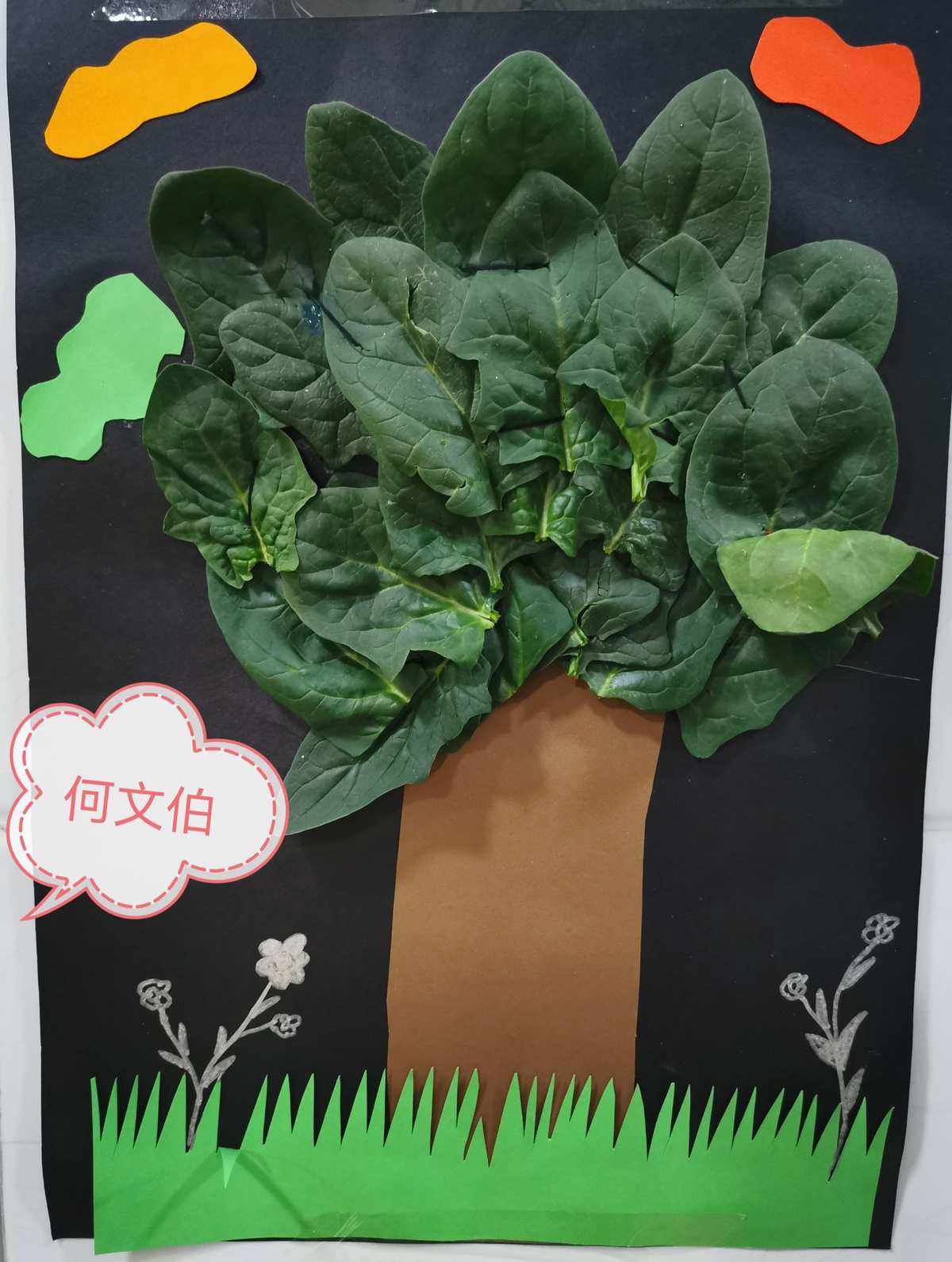 创意蔬菜种植(创意蔬菜种植造型图片)